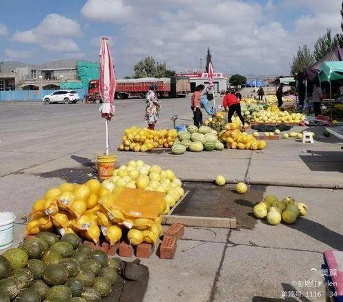 津津吃瓜的视频,揭秘娱乐圈幕后故事