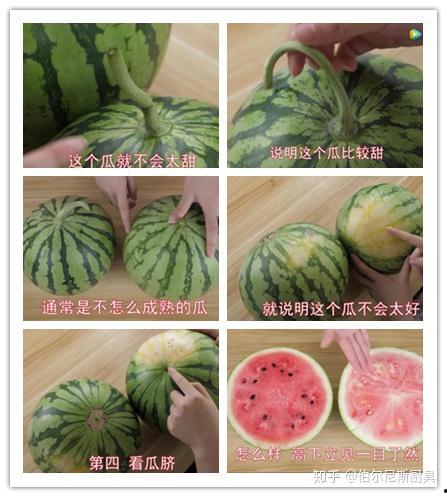 美丽风景线吃瓜视频,跟随吃瓜视频探寻自然风光