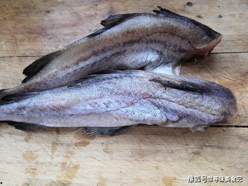 抓鱼吃瓜视频素材无水印,无水印视频素材背后的欢乐时光