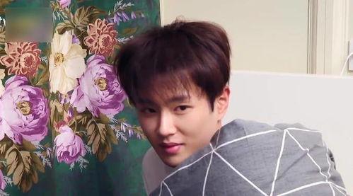 郑恺范丞丞吃瓜视频,娱乐圈幕后真相大揭秘