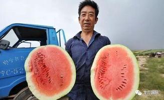 吃瓜视频算不算,网络舆论场中的现象级传播